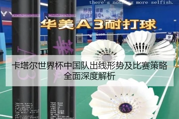 卡塔尔世界杯中国队出线形势及比赛策略全面深度解析